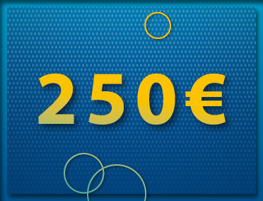 Mehrzweckgutschein 250,00 €